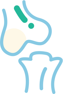 Bone Health